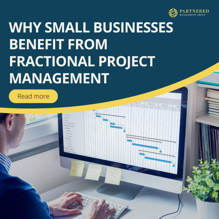 Fractional Project Management